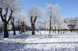 La nieve anima a los lectores de durangon.com a enviar fotos