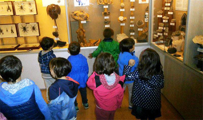 Un grupo de escolares en el Museo de Ciencias Naturales Hontza de Mañaria.