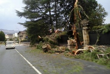 Un rayo caído durante la tormenta ‘poda’ un árbol en Faustebidea