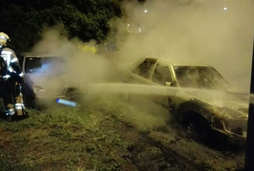 Calcinados dos coches en Iurreta tras un incendio fortuito