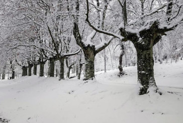 La alerta por nieve en Euskadi se eleva a naranja hasta mañana