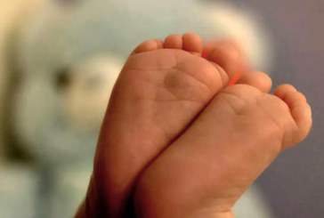 Detectan en un bebé en Durango el primer caso de sarampión en Euskadi desde 2012