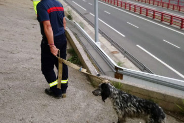 Bomberos de Iurreta rescatan a un perro en un colector de Atxondo