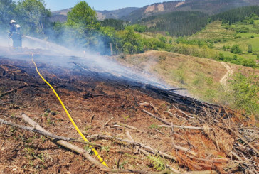 Los bomberos de Iurreta sofocan un incendio forestal en Berriz