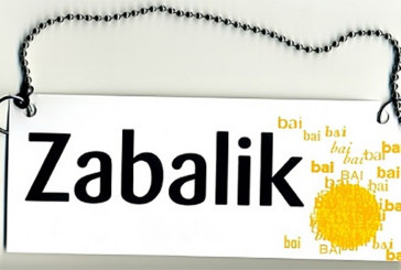 500 euro arteko laguntzak emango ditu Amankomunazgoak errotuluak eta webguneak euskaratzeko