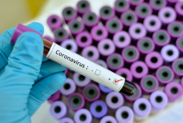 La Mancomunidad suspende temporalmente el programa Nagusilagun por el coronavirus