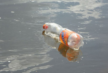 El alumnado de Durangaldea <br />se implica en la eliminación <br />del plástico en los ríos