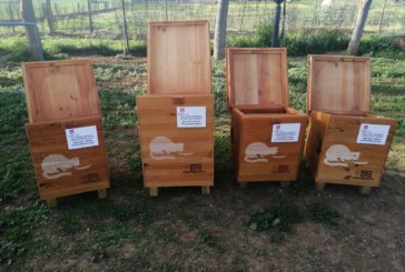 La asociación Elorrixoko katuak gestionará las colonias de gatos