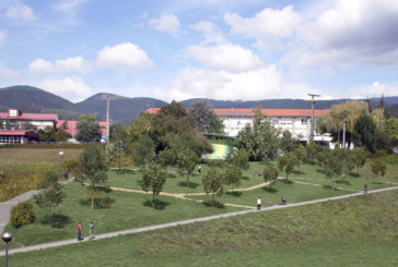 Un itinerario peatonal enlazará <br />el entorno escolar de Iurreta <br />con la casa de cultura