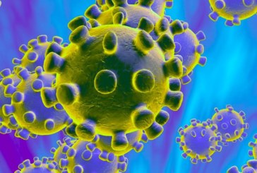 Evidente retroceso de la pandemia con 17 contagios en tres días