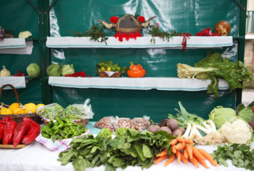 Zaldibar suspende las fiestas de San Andrés y la Neguko Azoka