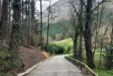 Refuerzan la seguridad de dos tramos de la carretera de Mendiola