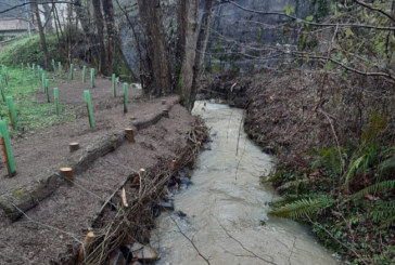 URA restaura un tramo del arroyo Maortuerreka en Atxondo