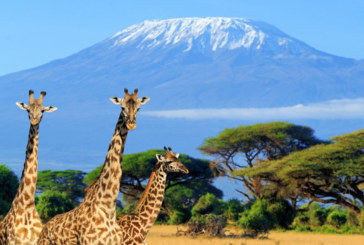 La elorriarra Lur Basterretxea relatará su subida al Kilimanjaro en las Jornadas de Montaña de Zaldibar