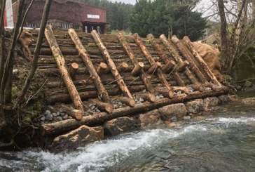 URA restaura un tramo de la ribera del río Mañaria en Izurtza