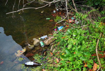 Retiran decenas de botellas y latas del río a la altura de Santa Ana