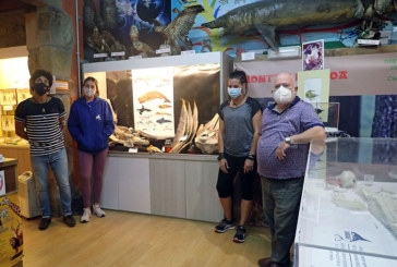 Hontza Museoa dedica su nueva exposición a la fauna marina