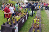 La Feria de plantas y flores de Garai vuelve el 10 de abril con 14 empresas del sector y productores locales