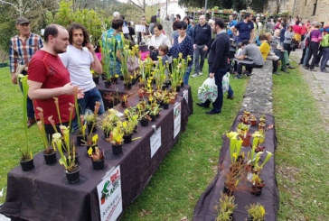La Feria de plantas y flores de Garai vuelve el 10 de abril con 14 empresas del sector y productores locales