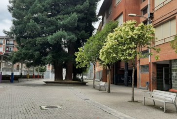 El pavimento de la calle abadiñarra Trañaetxoste comenzará a renovarse la próxima semana