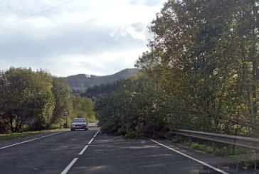 Un árbol derribado por el viento corta un carril de la N-634 entre Berriz y Zaldibar