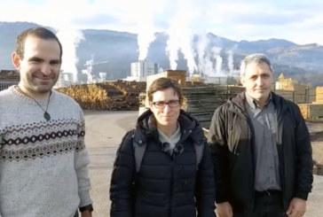 EH Bildu pide que se aclare el impacto que tendrá el horno de cal que se construye en la Papelera