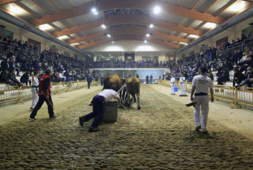 El probadero de Abadiño acogerá este fin de semana el Campeonato de Bizkaia de idi probak