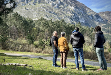 Durango tramita la compra de ocho hectáreas de bosque para plantar especies autóctonas