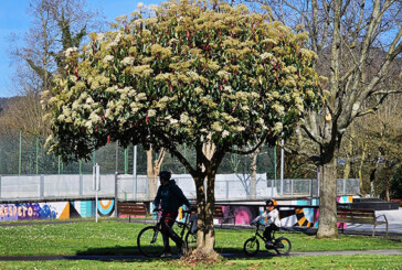 Durango inicia el análisis de las </br>101 propuestas que ha recibido a los Presupuestos Participativos