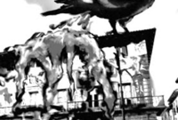 Los vecinos del Casco Viejo están “hartos”         del problema de las palomas