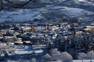 Estampa blanca en Durango