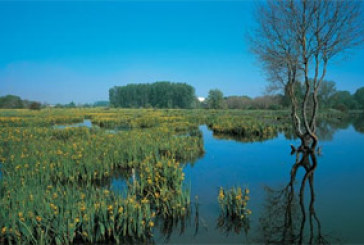 Programan dos rutas de senderismo y cultura para las personas mayores