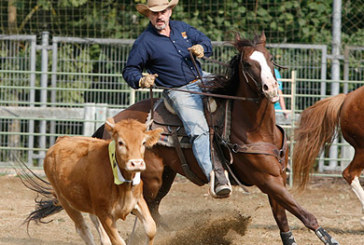 El antiguo campo de fútbol mostrará el fin de semana el trabajo de los cowboys