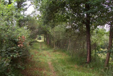 Los ayuntamientos de la comarca colaborarán en el mantenimiento de la GR Mikeldi