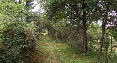 Los ayuntamientos de la comarca colaborarán en el mantenimiento de la GR Mikeldi