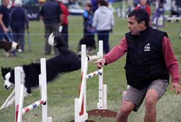 Perros de competición y de rescate mostrarán sus habilidades en Jauregibarria