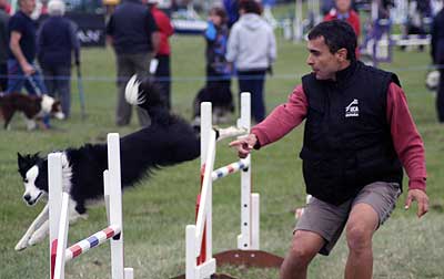 Perros de competición y de rescate mostrarán sus habilidades en Jauregibarria