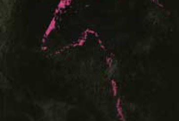 Astola aldizkariaren bosgarren zenbakia kalean da