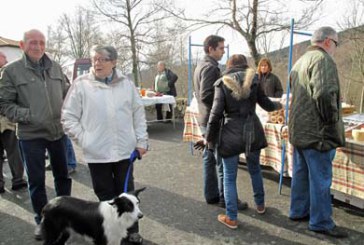 San Antonio Abad adopta sus propias mascotas