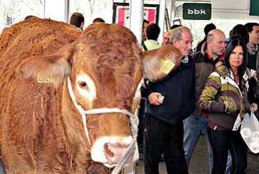 Abierto el plazo para apuntar al ganado en la Feria de San Blas