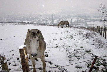 La nueva ola de nieve provoca el cierre total de Dima