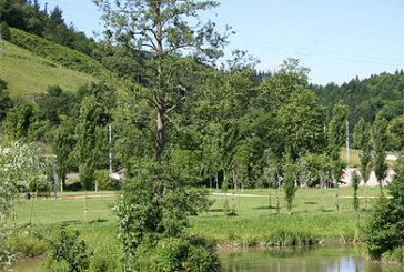 3.300 escolares participarán en la Semana del Árbol y el Agua