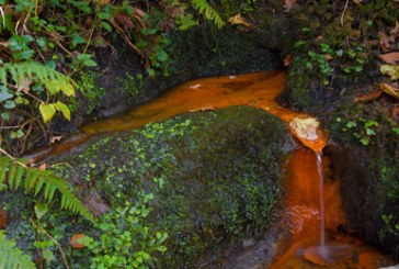 Las cofradías de Abadiño, objetivo del concurso fotográfico del calendario local