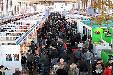 49. Durangoko Azokak gune bereiztua  eskainiko du            autoekoizpenentzako