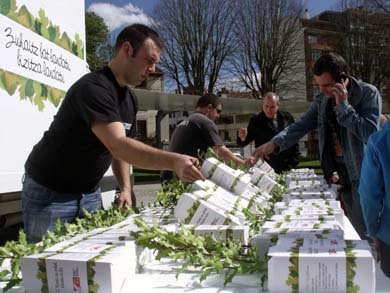 Reparto de un millar de acebos con motivo del ‘Zuhaitz Eguna’