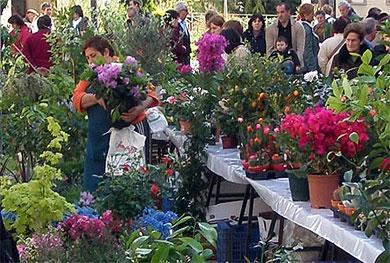 La primera Feria de Plantas y Jardinería de Garai acogerá a 21 productores