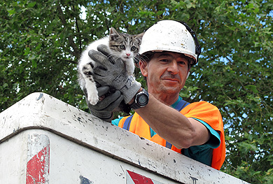 “Mi primer rescate de un gato???