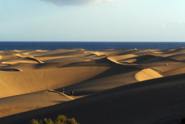 Se busca sol y playa