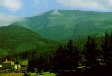 Personas en riesgo de exclusión regeneran el monte Oiz