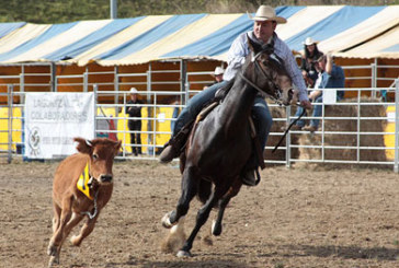 Zaldibar acogerá mañana una ???reñida??? gran final de Euskadi de ???monta western???